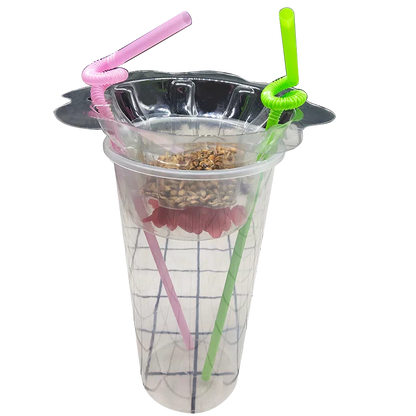 qiecha™ 3-in-1 Dry Ice Smoked Beverage Cup Set – PET Clear Cup + Double-Layer Tray Cup, suitable for fruits, tea, and parties.